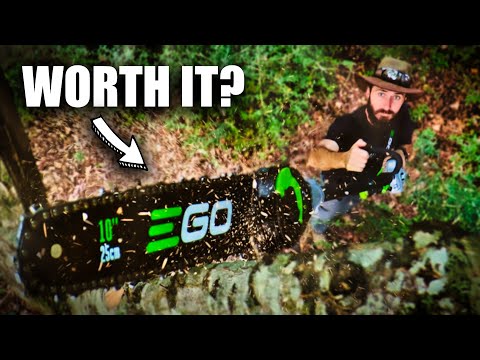 Lowe’s EGO 10 ft Pole Saw – Setup, Cutting Demo & Honest Thoughts