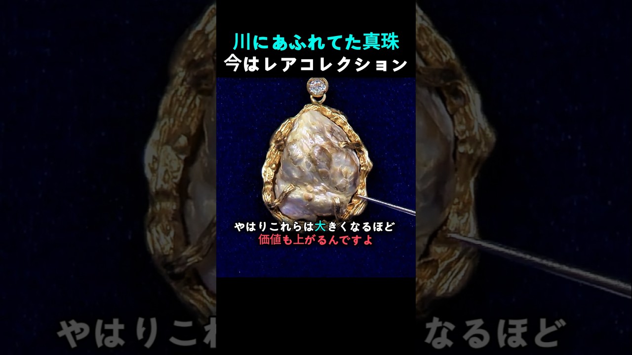 絶滅寸前のテネシー真珠！コレクションの衝撃価格に女性が絶句