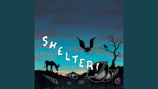 Shelter Shelter 2