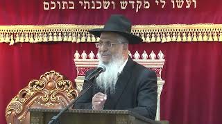 בן חורין וחידושי תורה (הרב יורם סרי) - התמונה מוצגת ישירות מתוך אתר האינטרנט יוטיוב. זכויות היוצרים בתמונה שייכות ליוצרה. קישור קרדיט למקור התוכן נמצא בתוך דף הסרטון