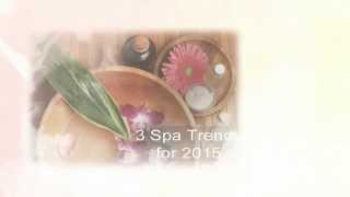 2015 Spa and Wellness Trends | Florida Spa Association