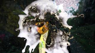 Downlow Productions ft. D.V. Alias Khrist, Lord Have Mercy & Rockness Monsta "Veteran Statuss"