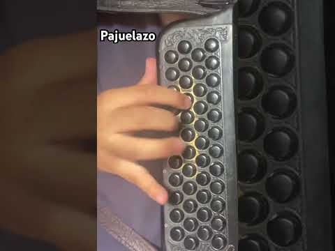 Pajuelazo - Tito Double P x Luis R Conriquez #shortsfeed #acordeon #corridos #eljuniordemodesto #fy