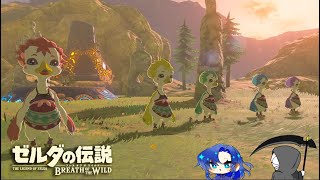 【かなまふ】ゼルダミリしらがいてもいなくてもサブクエは攻略する【ゼルダの伝説　ブレスオブザワイルド】Part20