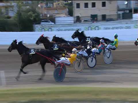 Trotto 01/05/2019 - 8ª corsa - G.P. Lotteria Consolazione