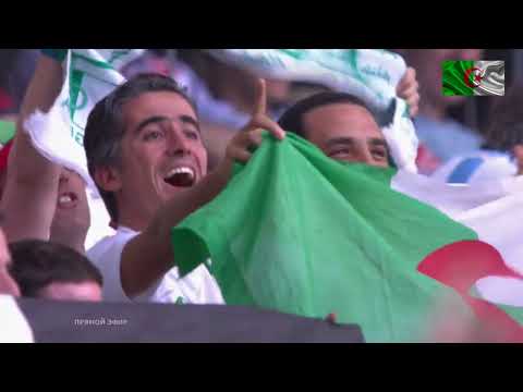 World Cup 2014  South Korea Algeria  0 2  Rafik Halliche