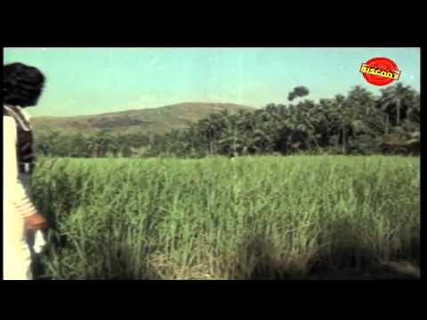 Mazha Peythu | Malayalam Movie Songs | Lajjaavathi (1979)