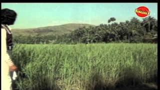 Mazha Peythu | Malayalam Movie Songs | Lajjaavathi (1979)