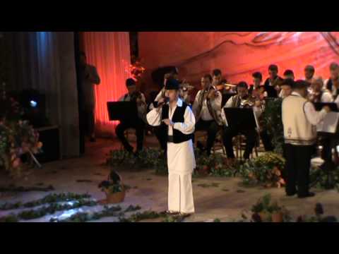 Premiul Cramei Jidvei Strugurele de Aur 2014-Bogdan Firu