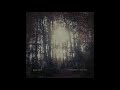 Forbidden ritual (drone ambient | full album, 2021)