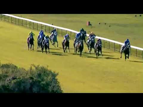 One World  - Langerman