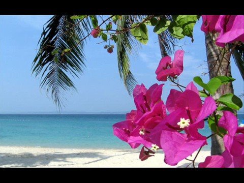 Gigi d'Alessio- Fiore