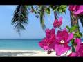 Gigi d'Alessio- Fiore