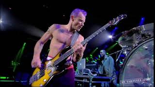 Red Hot Chili Peppers - Look Around - Live at Taratata 2011