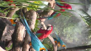 Download lagu 9980039371-1728.wmv mp3