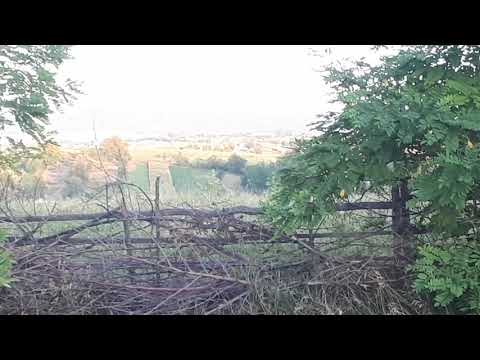 Statiunea Baltatesti 8 septembrie 2020