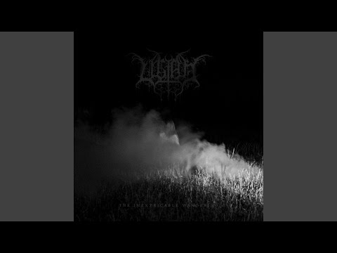 I'm Afraid to Follow You There