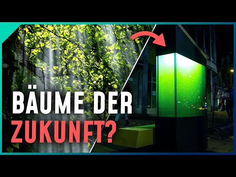 50x effizienter! Bioreaktor statt Bäume pflanzen?