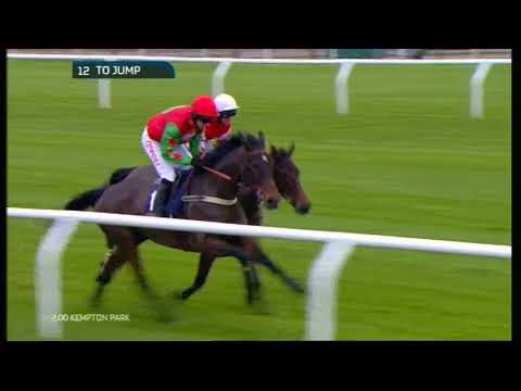2014 Kauto Star Novice CHase