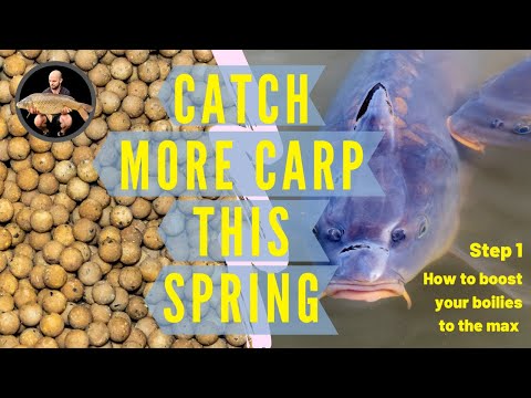 Catch More Carp This Spring - BOOST your BOILIES to the MAX