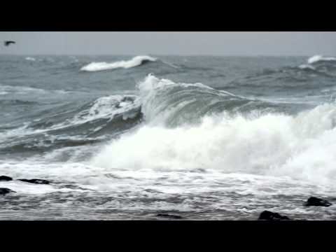 Mermaid - Be The Bear (Introducing Volvo Concept Estate)