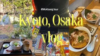 [🇰🇷sub] Kyoto&Osaka🍶Trip VLOG🍡ミシュラングルメ/ 宇治観光/ 天王寺動物園