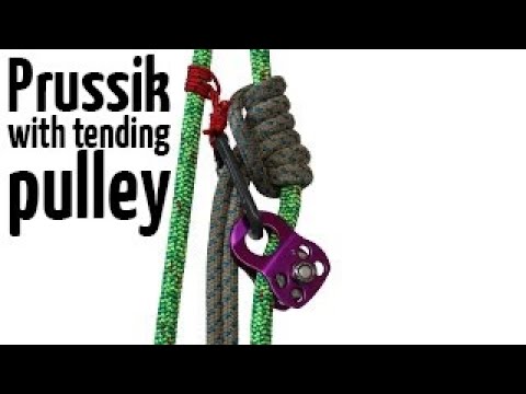 Prusik with tending pulley | Arborist climbing techniques