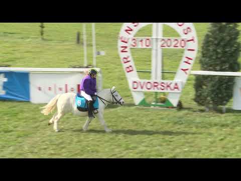 BR, 3. 10. 2020, Pony Liga 2