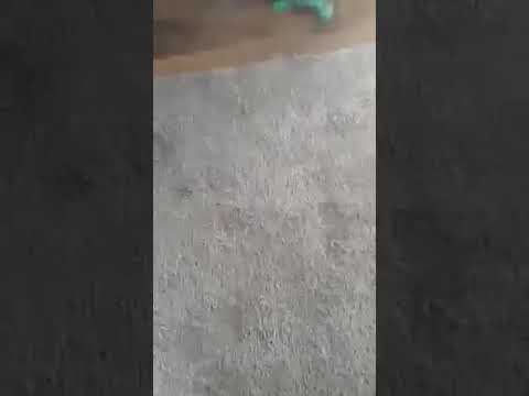 Jose's Johnjoe reply to Chaps Patrick