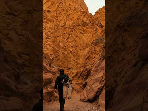 Humahuaca y Hornocal: Tierra de colores y cardones