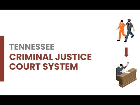 Tn Felony Offender