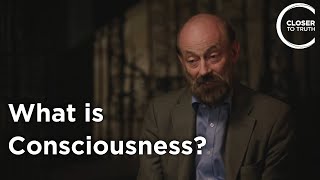 Raymond Tallis - What Is Consciousness?