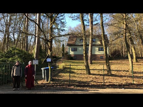 MN111: Progression - The Anupada Sutta I Ayya Vimalanyani