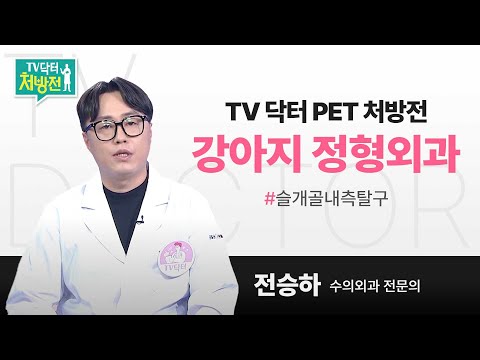 [TV닥터처방전] 강아지 정형외과 클리닉