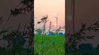 Download lagu Tu Haiye Haali Aave - Gujarati Song | Om Baraiya, Saloni Raval | Jigardan Gadhavi | Rahul Munjariya mp3
