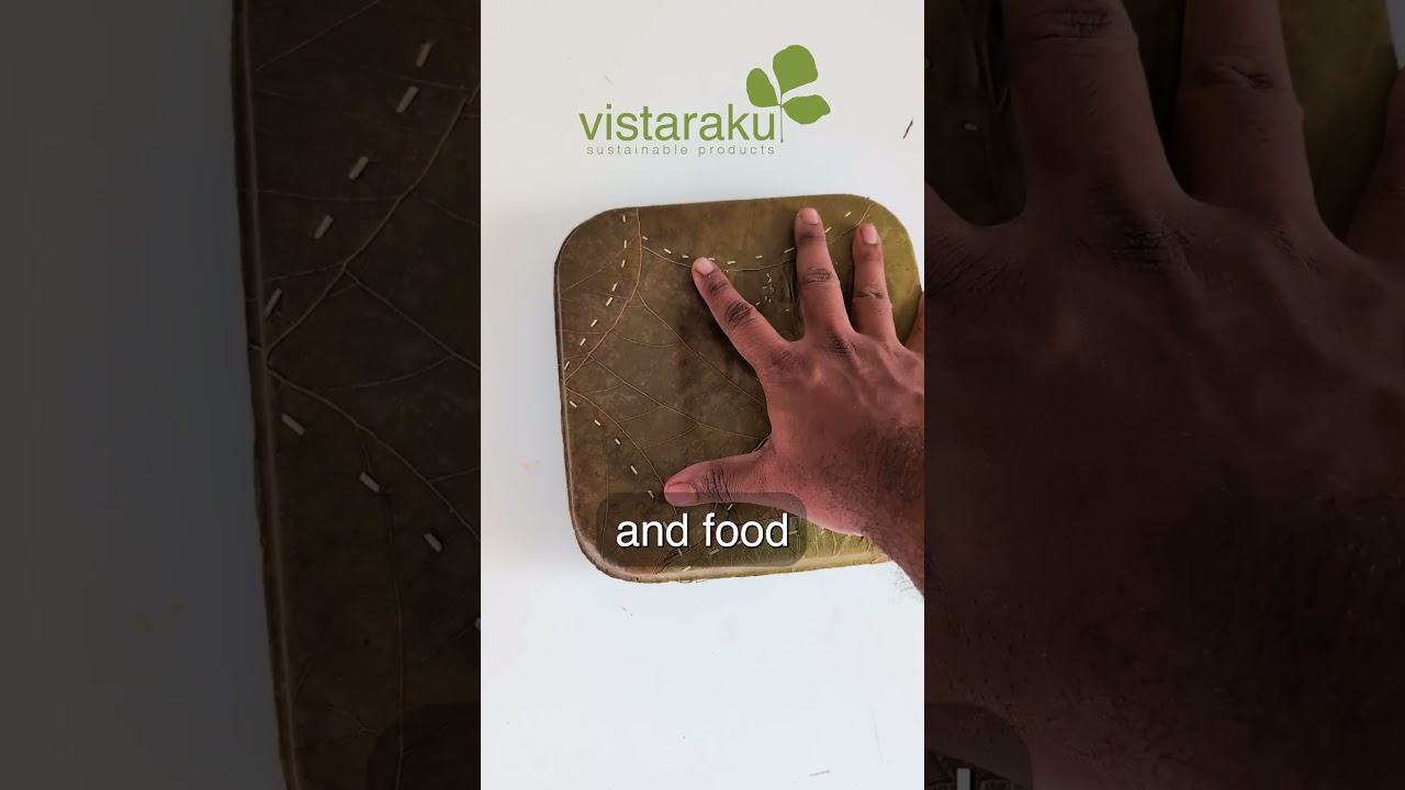 Eco-friendly Leaf Packaging for Biryani #healthyfood #farming #ecofriendlysolutions