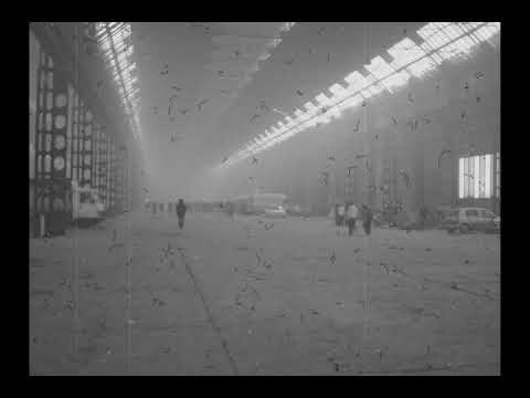 MNT - WE ARE THE NEW SPECIES