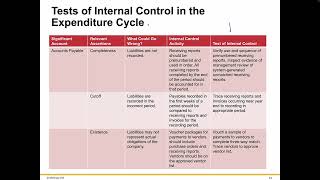 Audit Purchase and Expenditure Cycle