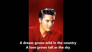 Elvis Presley - Wild in the country (with lyrics)