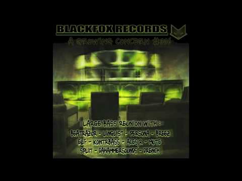 Aces.R - 2am (A growing concern #006 - Blackfox records)