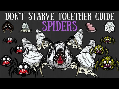 Don't Starve Together Guide: Spiders