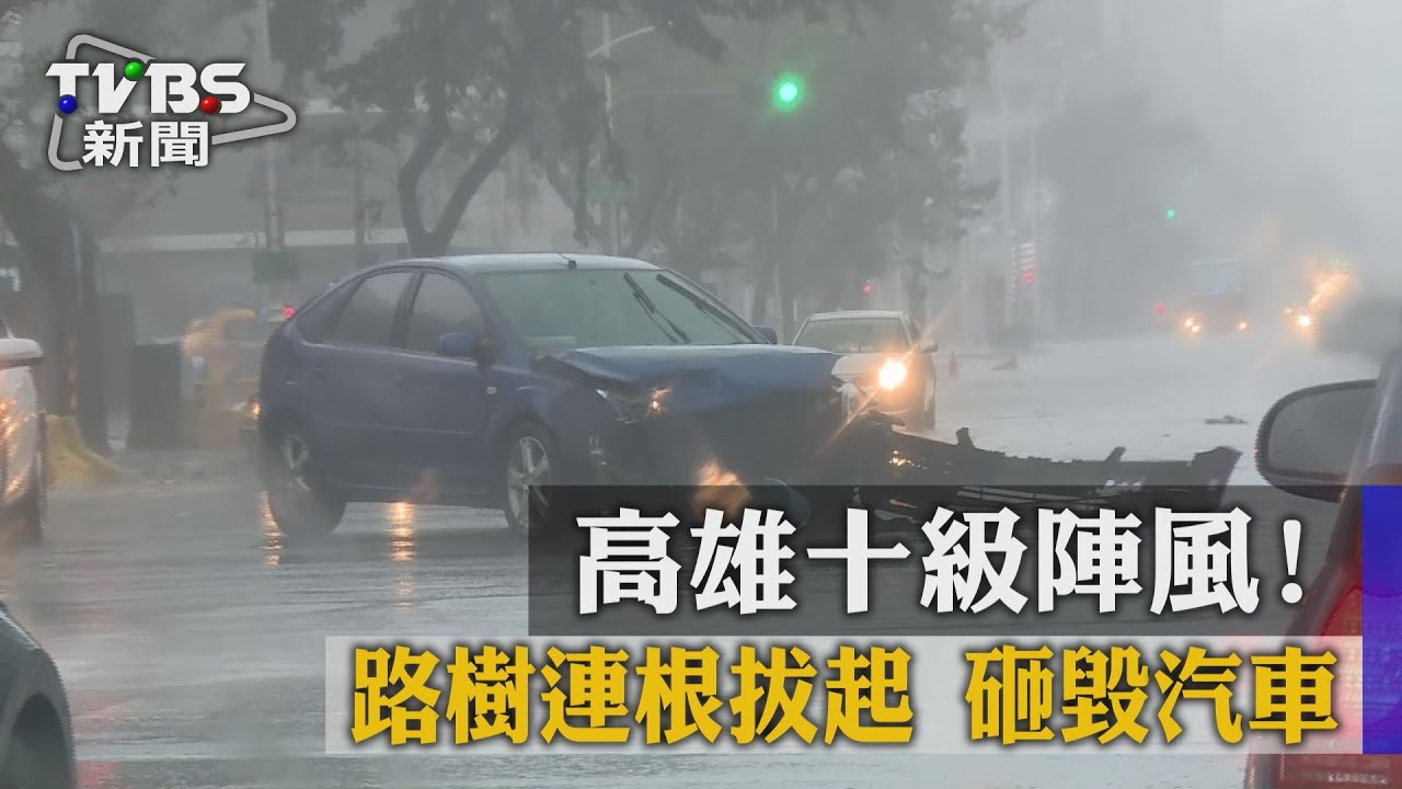 高雄10級陣風！　路樹連根拔起砸毀汽車