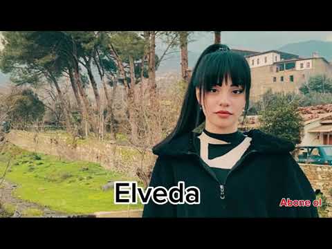 Helin Hevi-Elveda(cover)