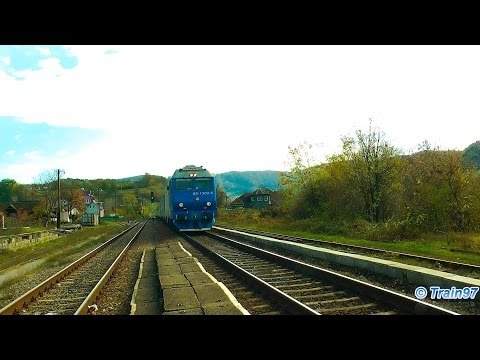 Mega Horns By Queen of Bihor - Jimmy 65-1300-6 [Autumn Ediiton]