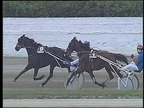 Trotto 16/06/2016 - 2° corsa