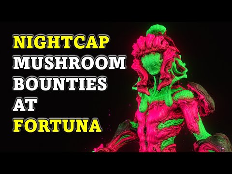 Let's look at NIGHTCAP new to FORTUNA in Warframe