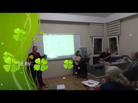 AHMET TURAN ŞAN THM Topluluğu