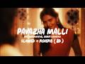 PAVAZHA MALLI SLOWED REVERB 8D ️ SAI ABHYANKKAR SHRUTI HAASAN
