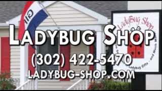 preview picture of video 'Gift Shop, Ladybug Gift Store in Milford DE 19963'