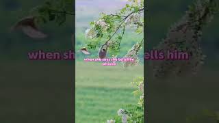 Download lagu Take a while song (feat. Licellow)|Yellow Lockdown #song#lyrics#foryou#viral🎵🎸🎶 mp3